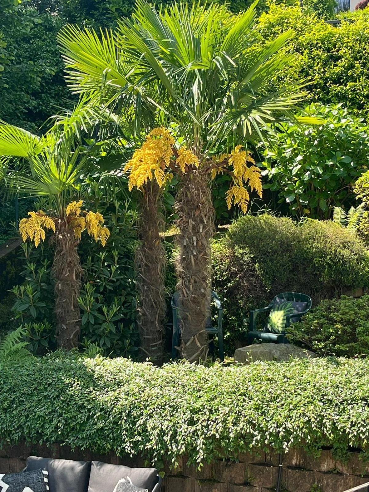 Miralago Stresa Extérieur photo